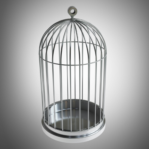 Spacious Bird Cage