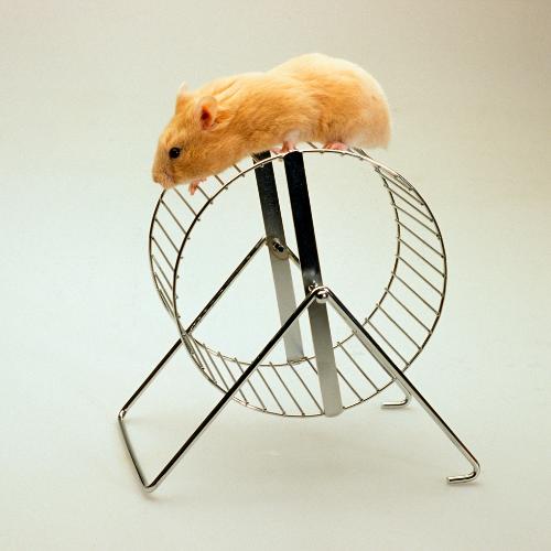 Quiet Hamster Wheel